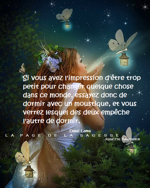 Essayez de dormir avec un moustique 08 image