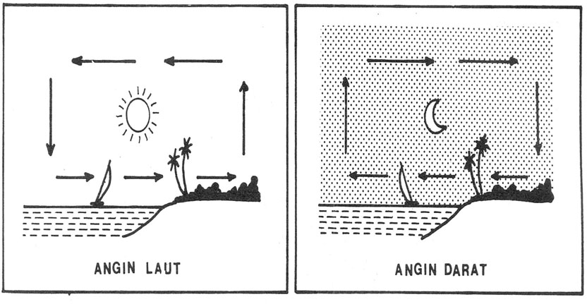Fenomena Angin Darat dan Angin Laut | Thermodynamics