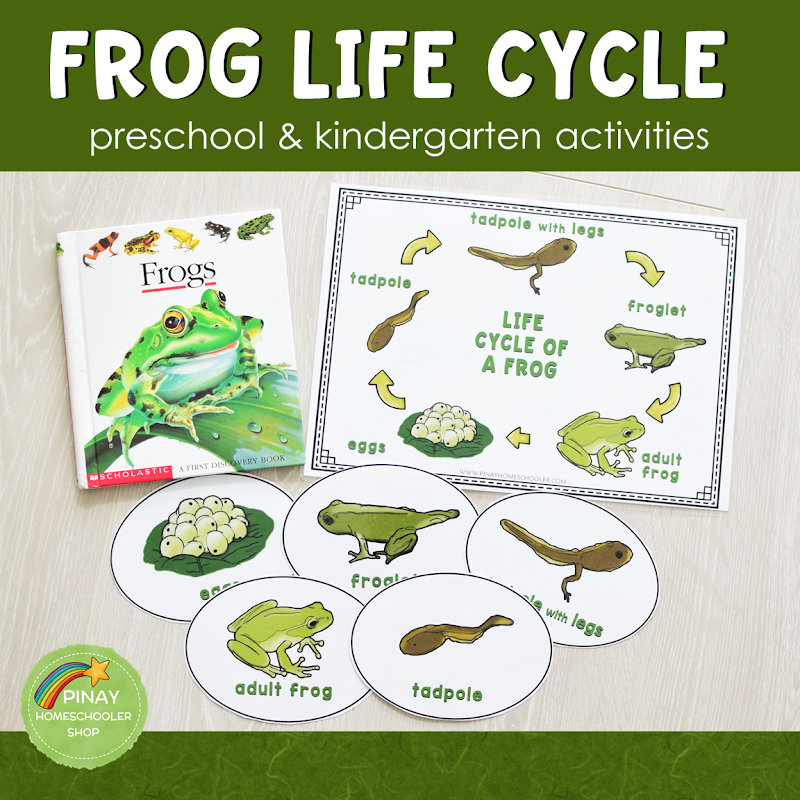 Life Cycle Of A Frog Activities