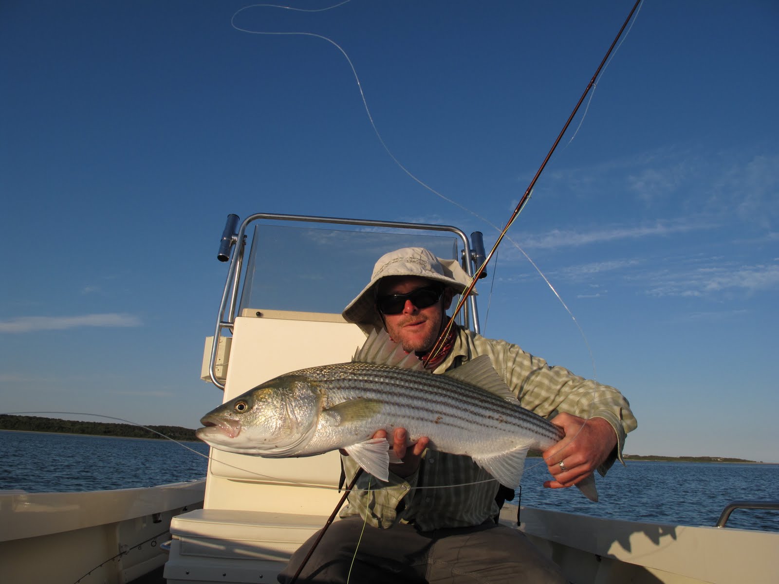 Boston Fly Fishing and Report Vineyard Stripers!