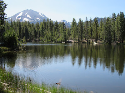 northern california birding hotspots birdwatching photography