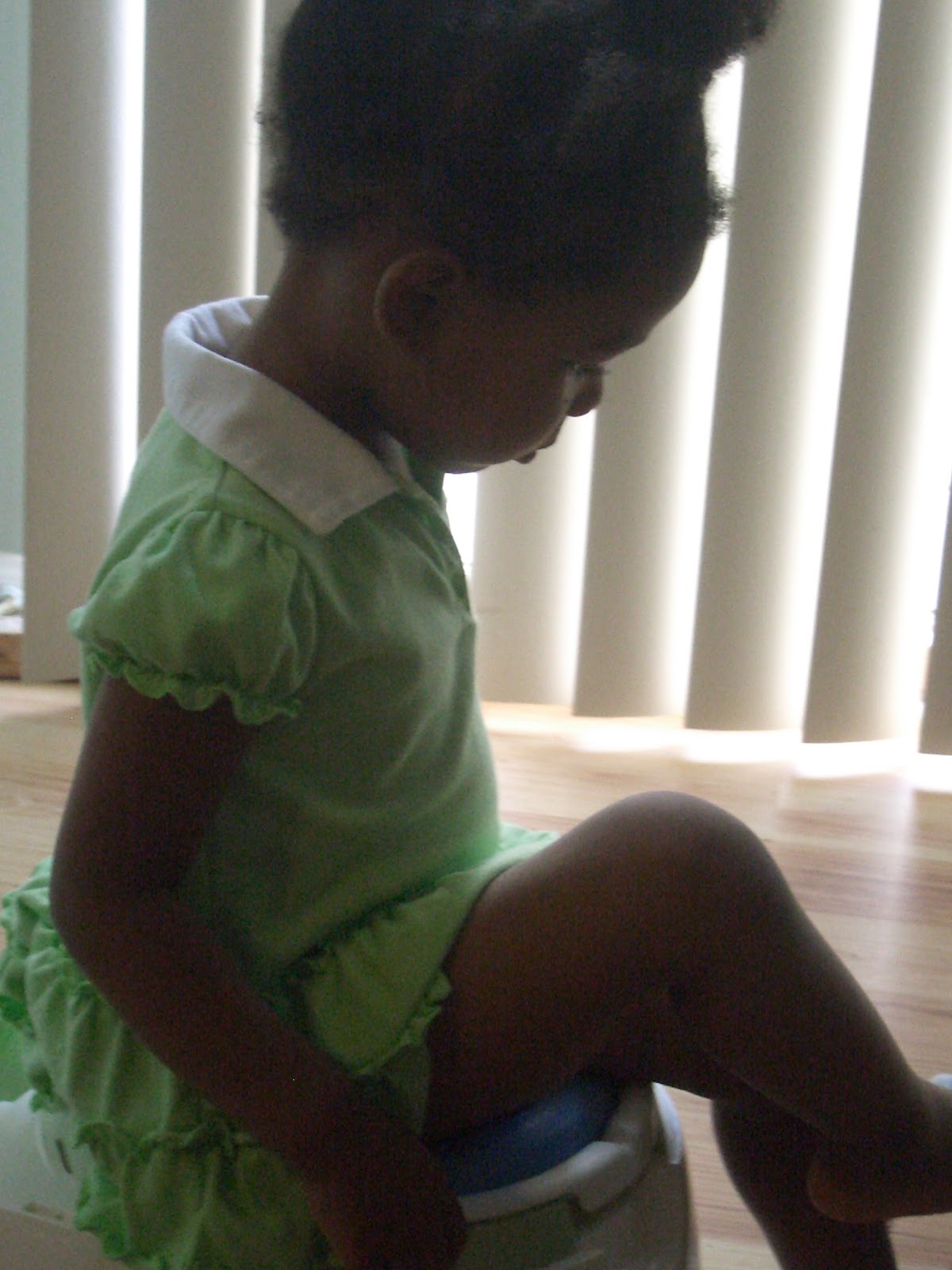 In The Life of a Virtuous Woman Conquering Potty Training