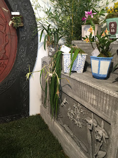 , Mostre primaverili: Horti di Veio e Monteporzio catone 2017, diarid'orchidee