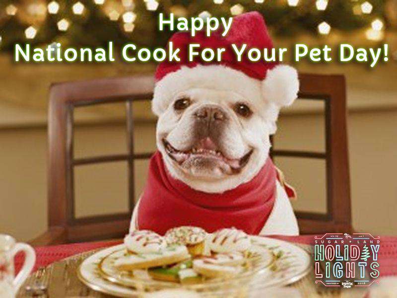 National Cook For Your Pets Day Wishes pics free download