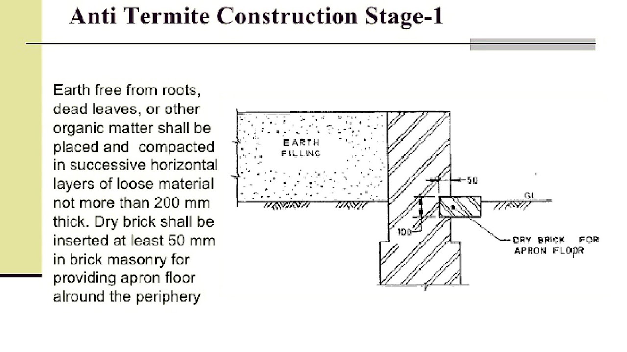 Anti Termite Treatment For Wood Treat Choices