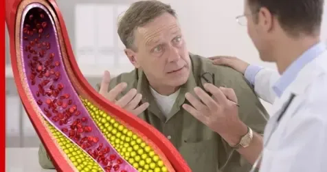understanding your cholesterol results understanding your cholesterol results
