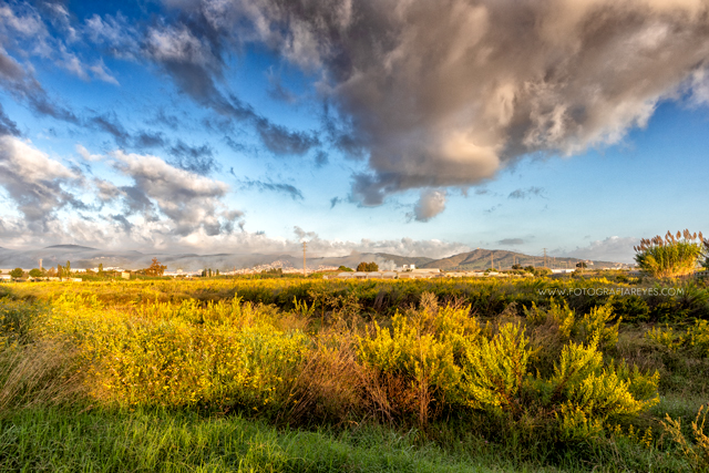  Amaneciendo en el Parc Agrari de Viladecans