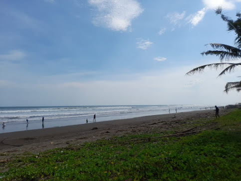 Pantai Cemara Sewu Cilacap: Lokasi, Rute, dan Harga Tiket