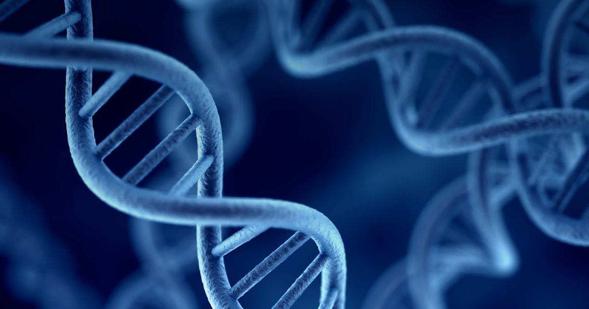 Pras Academy SMP Mengenal Materi DNA dan RNA, Persamaan dan