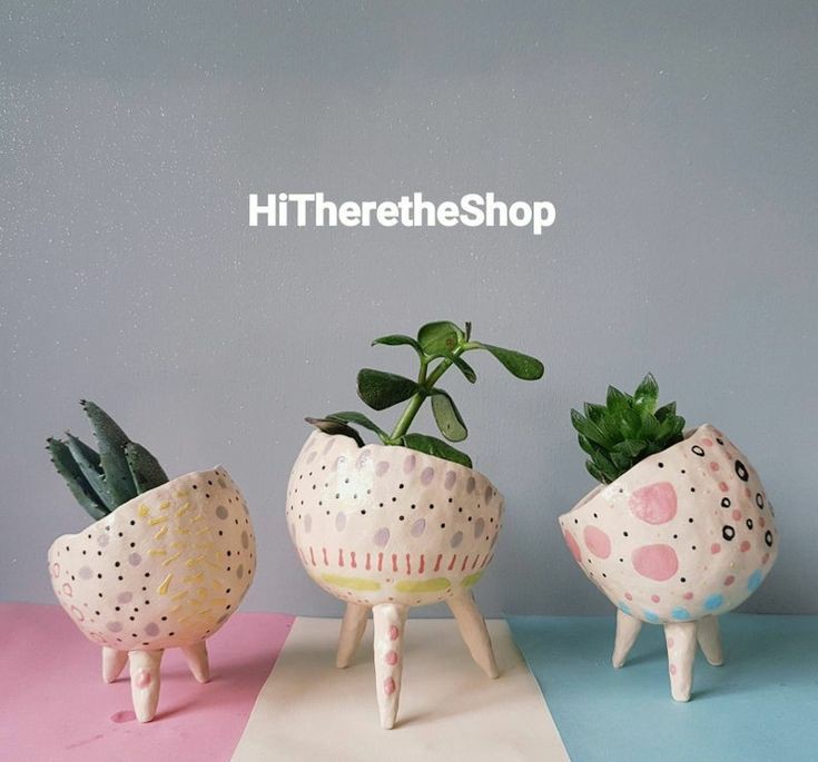 A collection of cute and unique flower pots, should I buy them all? Vera Coeg