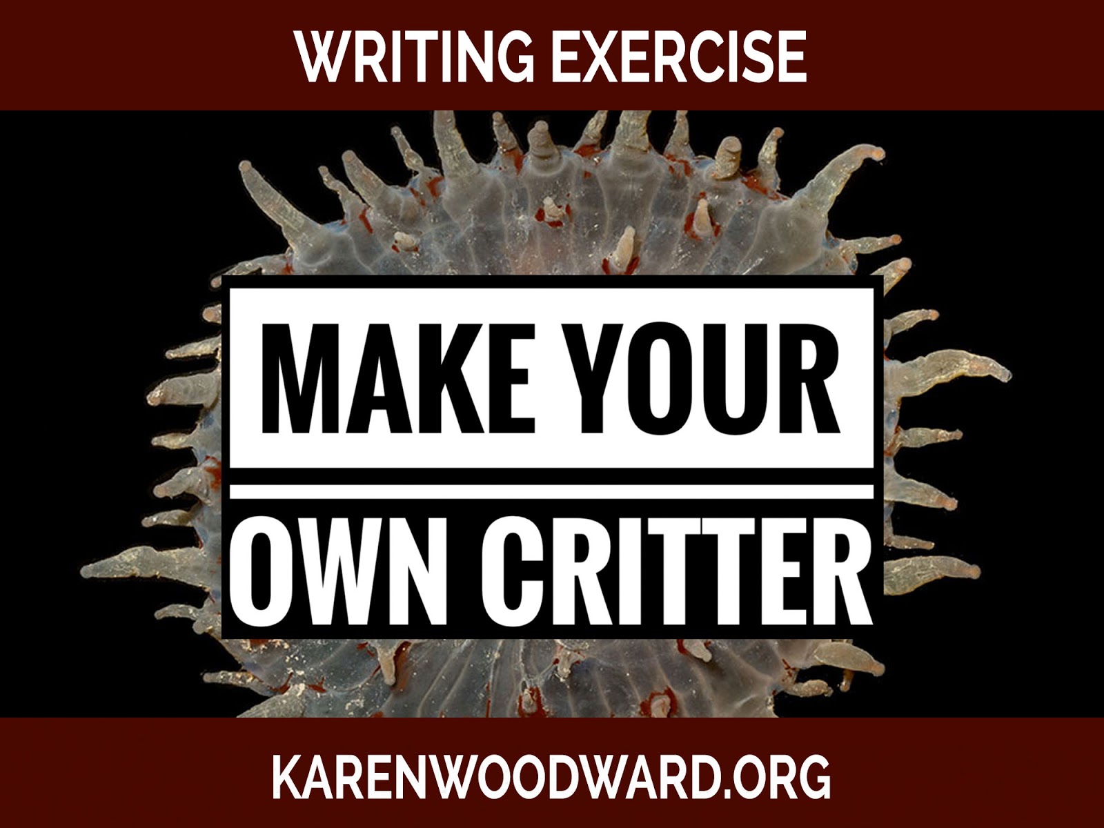 Karen Woodward: Writing Exercise: Make Your Own Critter!