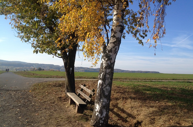 Herbstspaziergang - Herbstlaub Ruhebank mit Aussicht