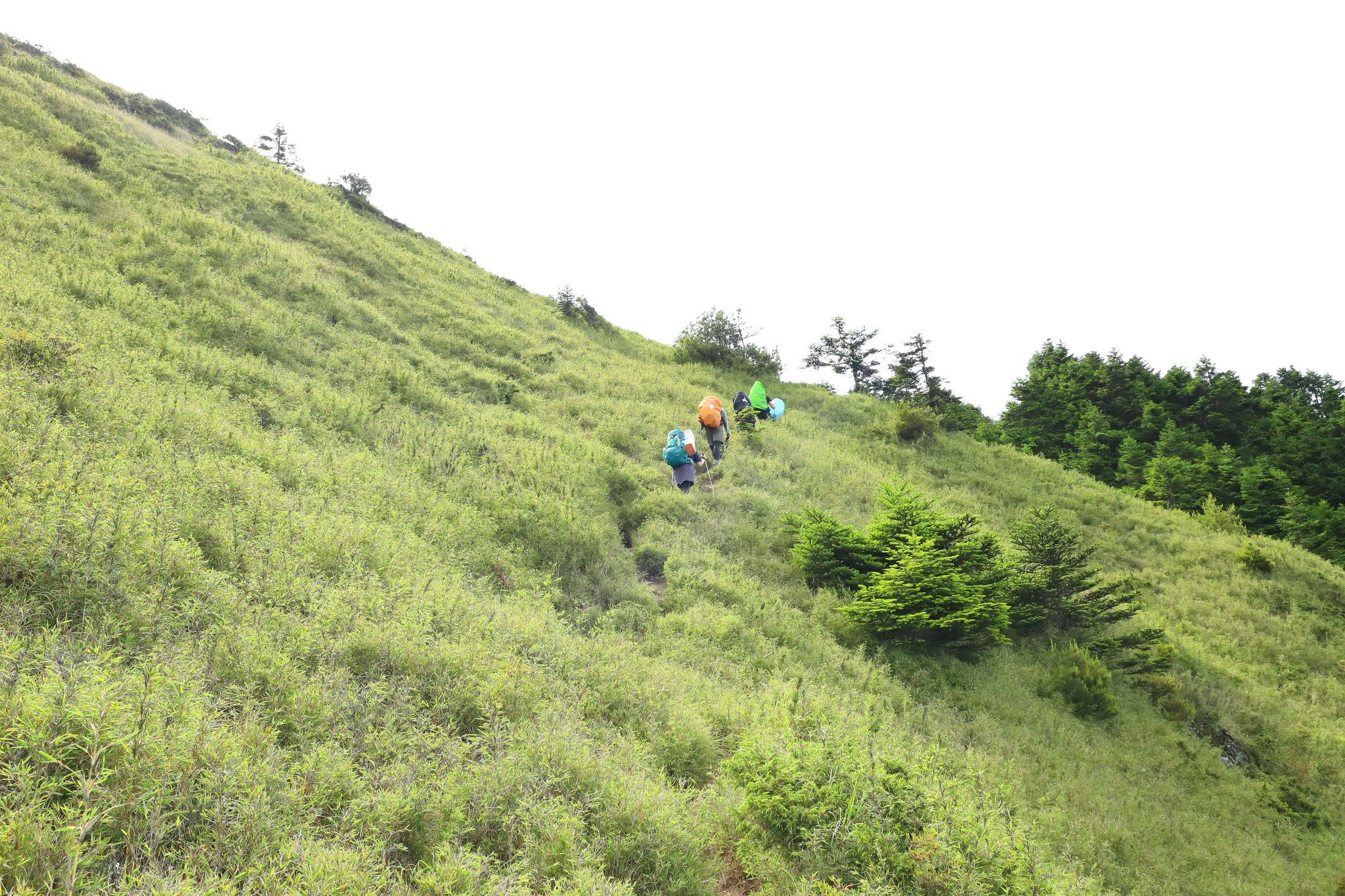 攀登畢祿山