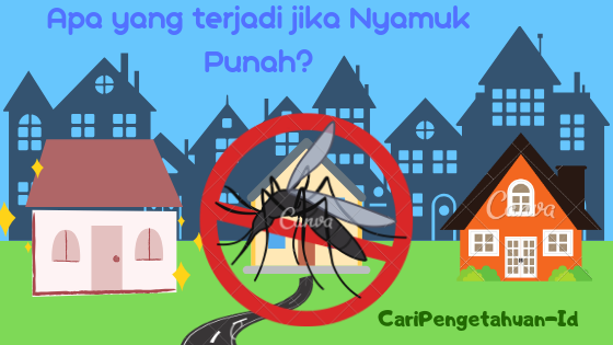 Apa Yang Terjadi Jika Nyamuk Musnah/Punah Dari Bumi ...