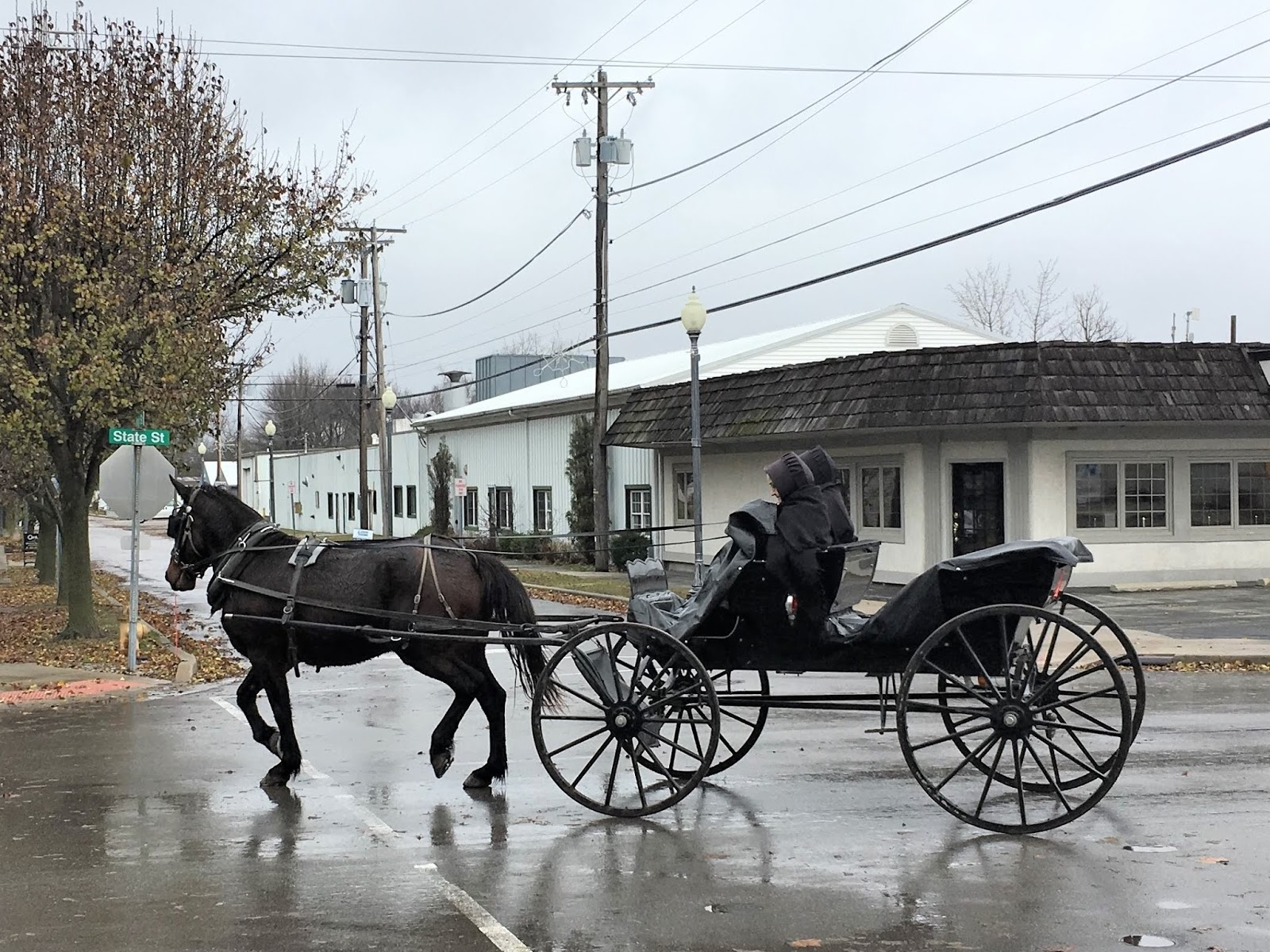 My Amish Indiana 2019