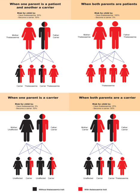 Siapakah yang perlu menjalani ujian saringan pembawa thalassaemia