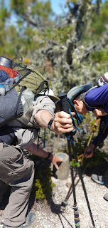 On Chalk Mountain looking for survey marker