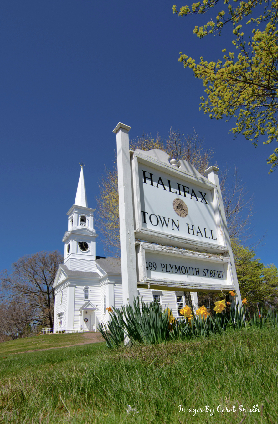 Carol's View Of New England Halifax MA Springtime