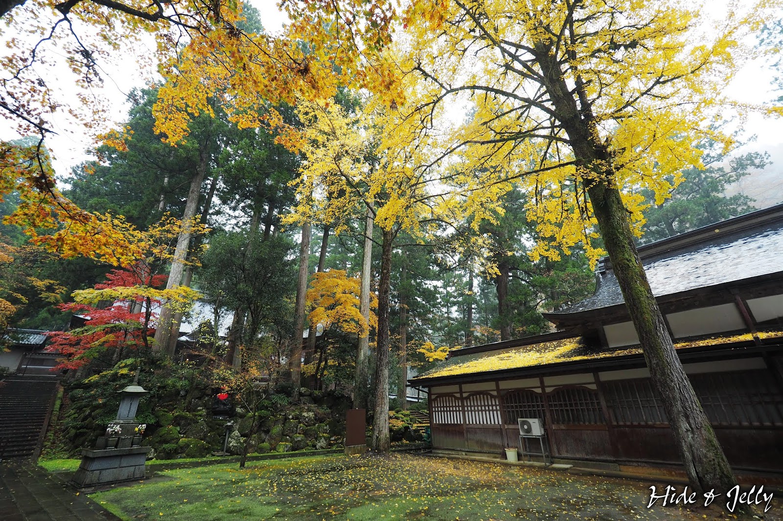 Hide Jelly 17北陸楓葉季day5 福井 古老 莊嚴的曹洞宗大本山 永平寺