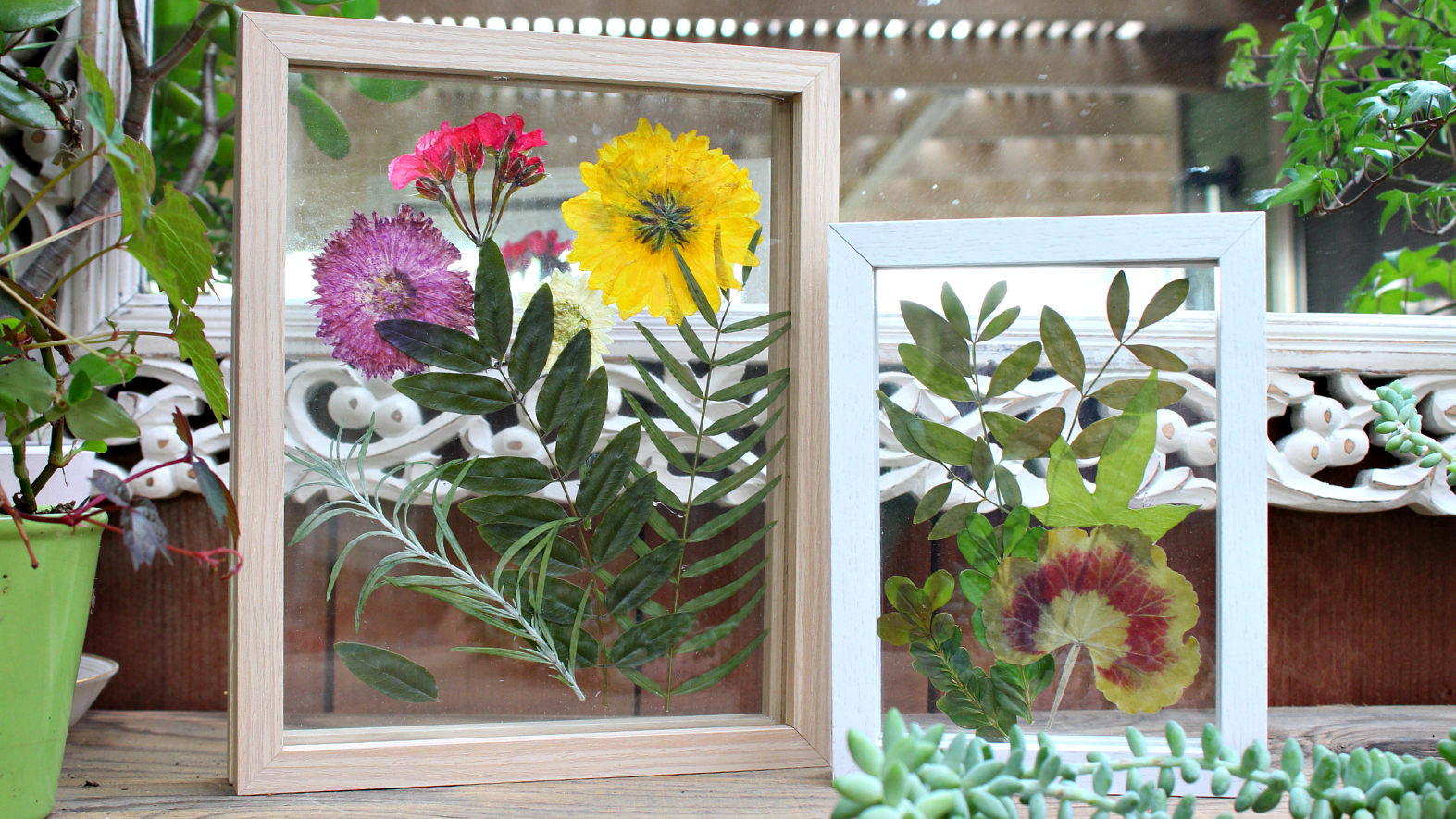 Mark Montano Pressed Flower Boxes DIY