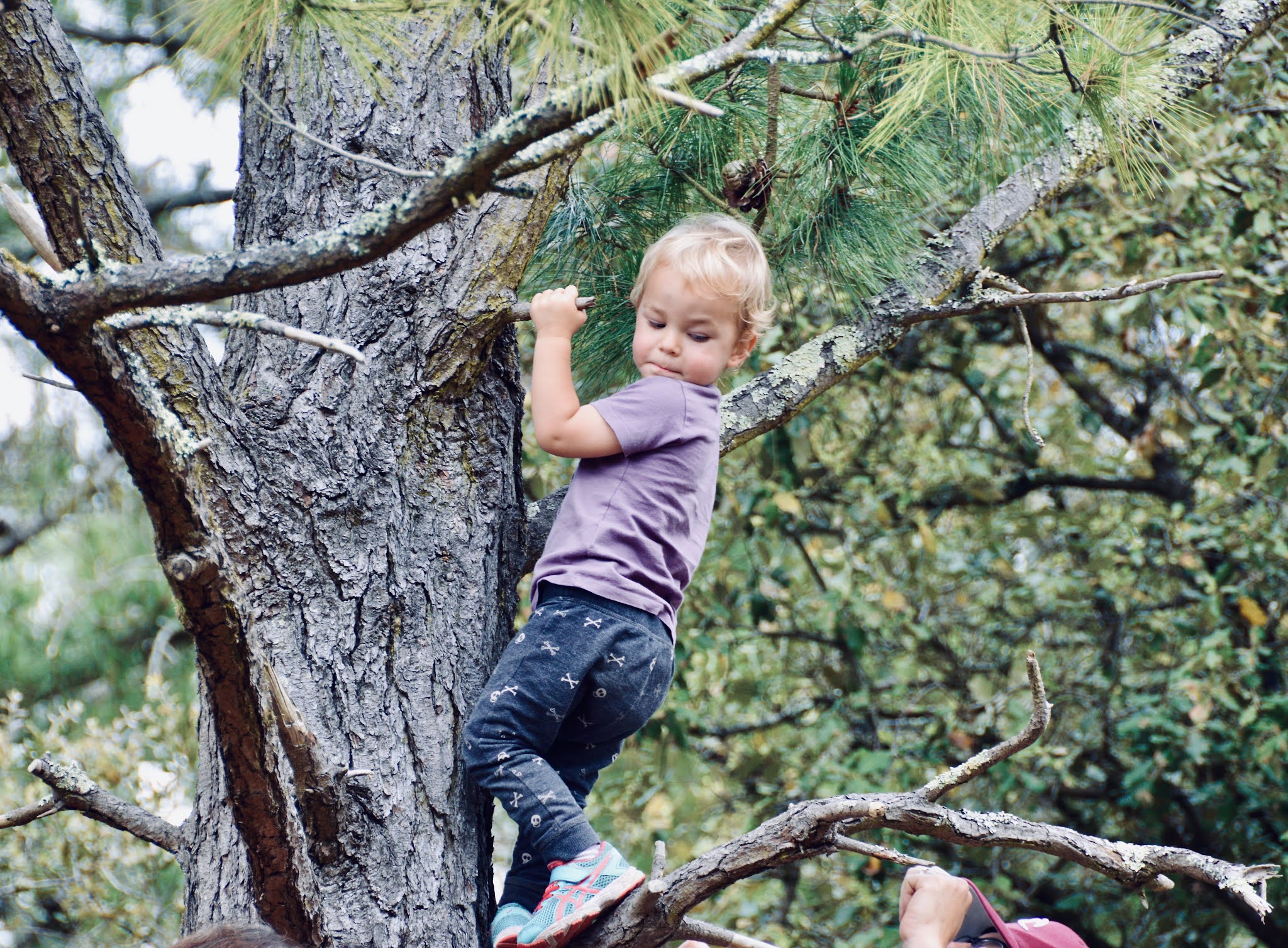ENFANCE-VIVRE-EDUCATION-NATURE-FAMILLE-ACCOMPAGNER