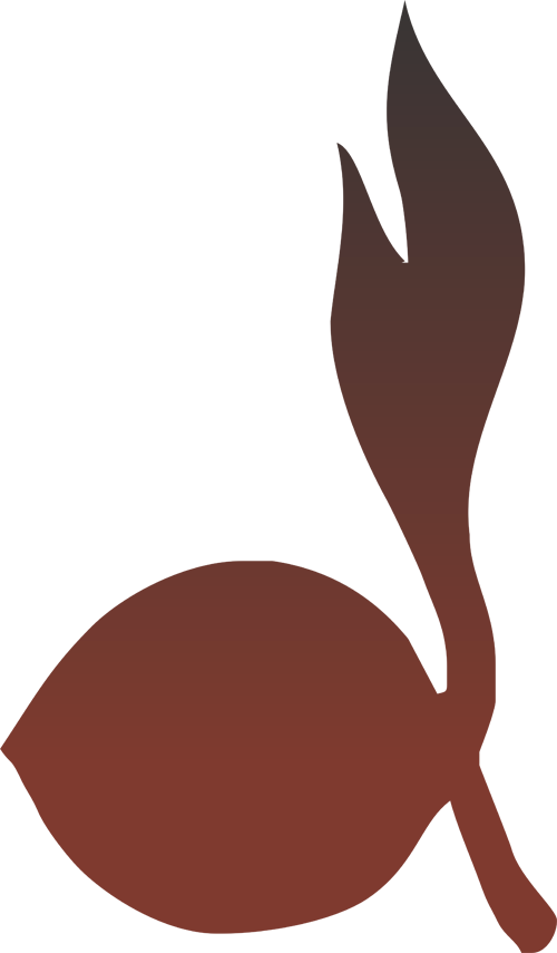 Ring Kacu: Logo PRAMUKA