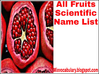 List of scientific name of fruits