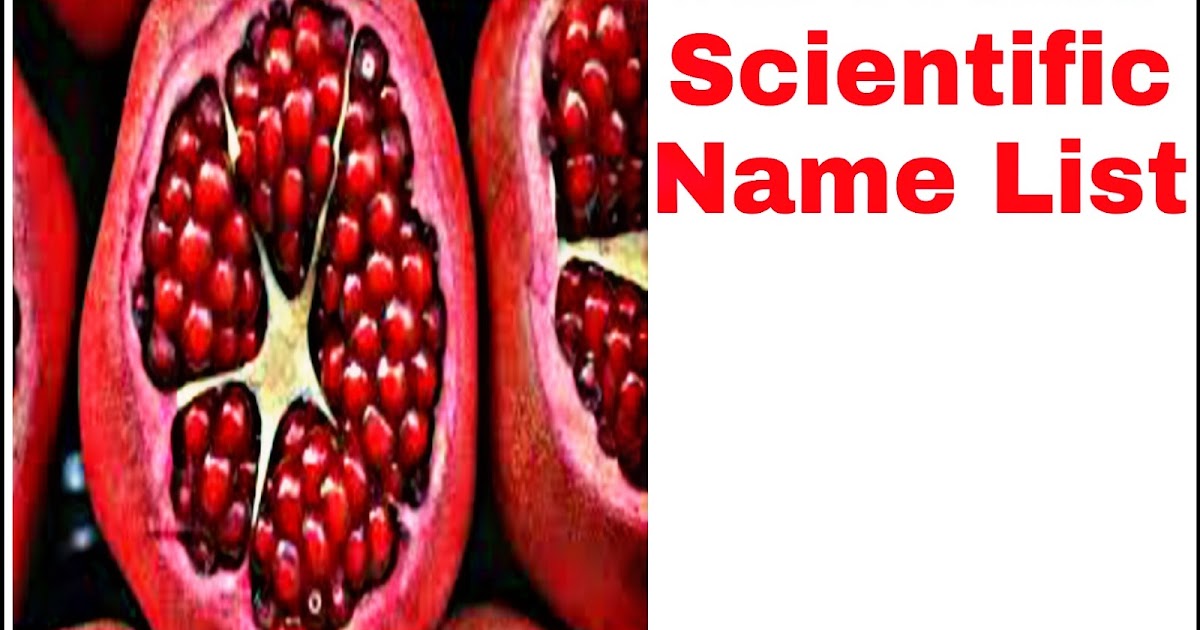 All Fruits Scientific Name List