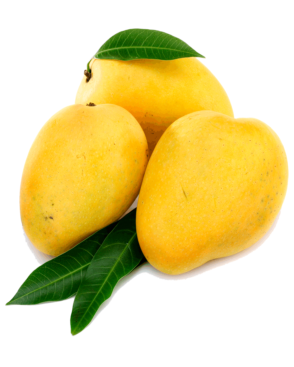 Kesar Mango