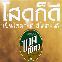 ขวดเขียวโปรเจคต์ โสดก็ดี cover