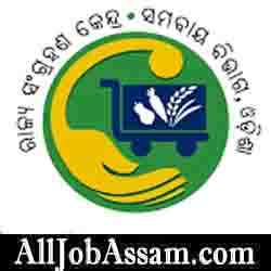 OSCB AM, Banking Asst, & System Manager Syllabus, Exam Pattern