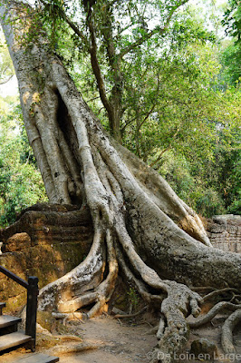 Ta Phrom - Angkor - Cambodge