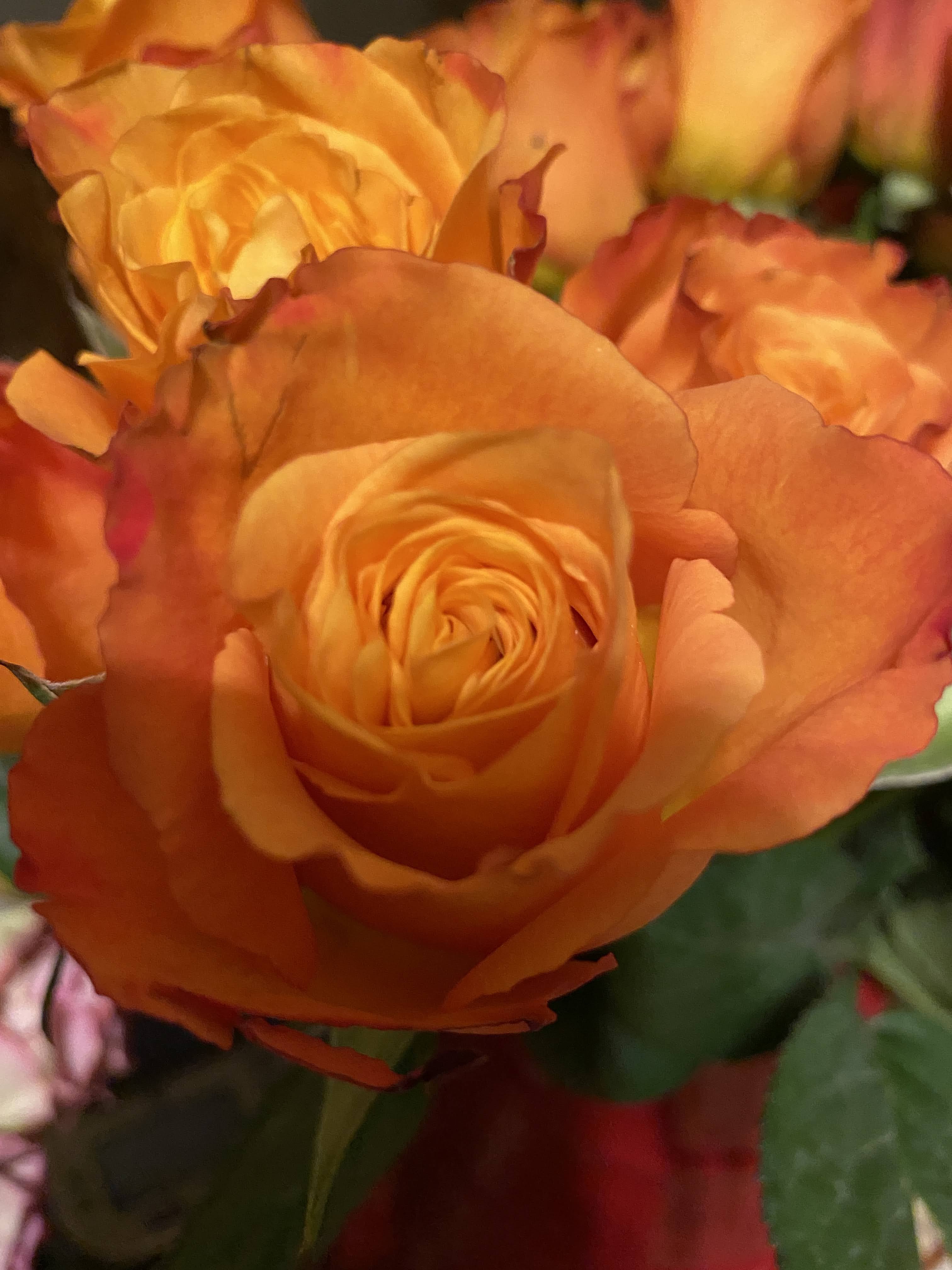 Christian Images In My Treasure Box Sweetest Day Roses