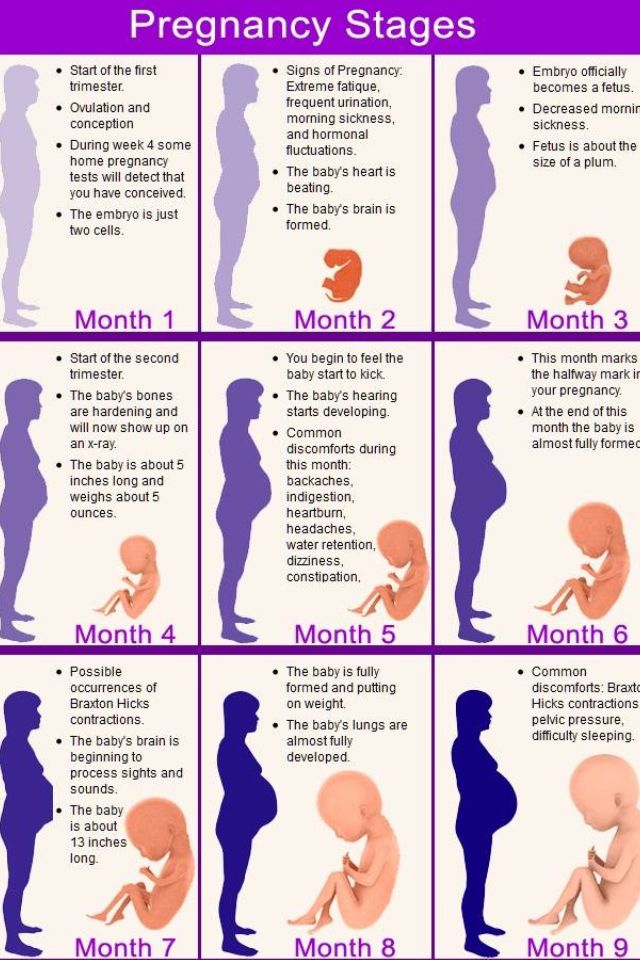 6 bulan berapa minggu kehamilan