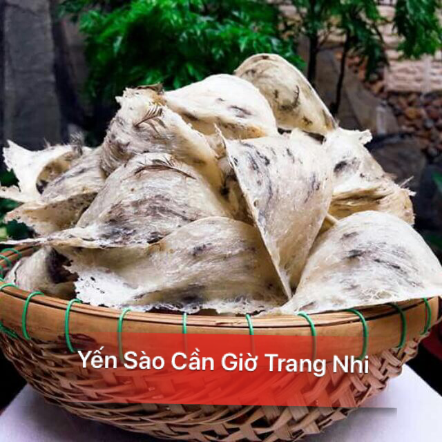 Yến Thô Tai Lớn