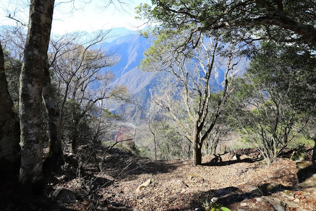 拉夫朗山位在丹大山域一帶