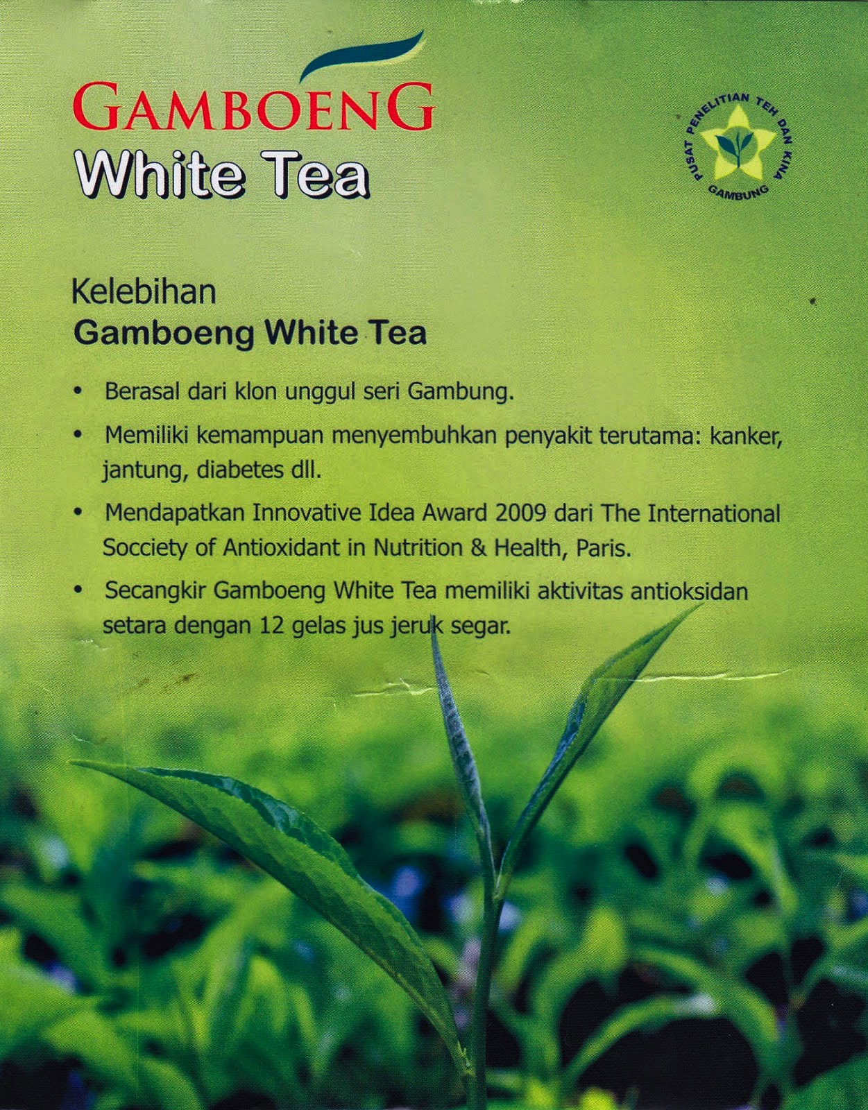 Зеленый чай текст. White Tea трек. White Tea текст. White Tea инструкция. White Tea перевод.