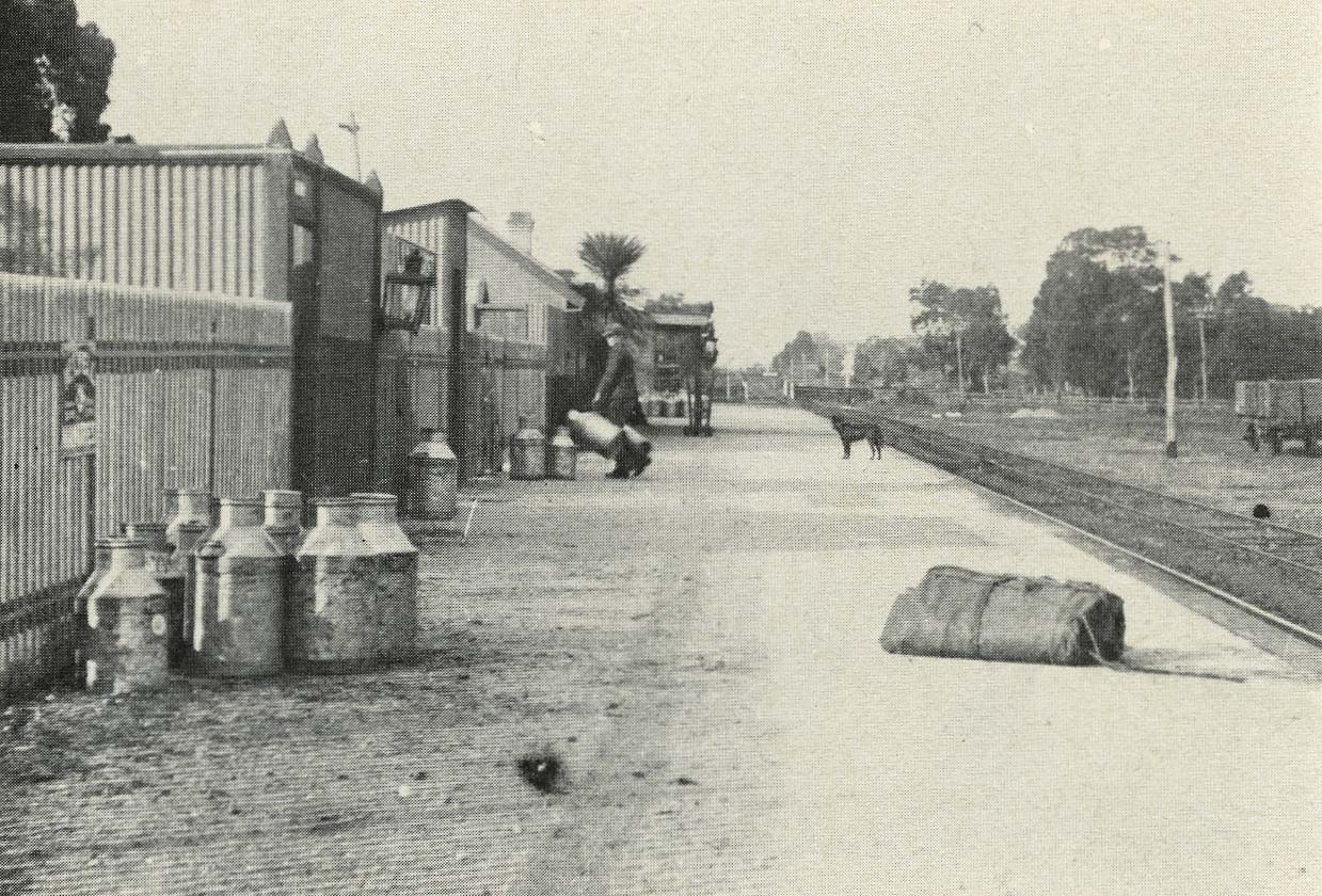 Koo Wee Rup Swamp History The South Gippsland Railway line