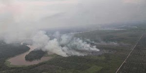Petisi: Cabut izin perusahaan pembakar hutan di Riau! 