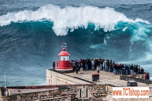 Xem sóng quái vật trò giải trí dành cho kẻ bạo gan Xem sóng quái vật trò giải trí dành cho kẻ bạo gan