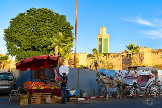 Fotografia-Meknes-Marruecos_Abuelohara