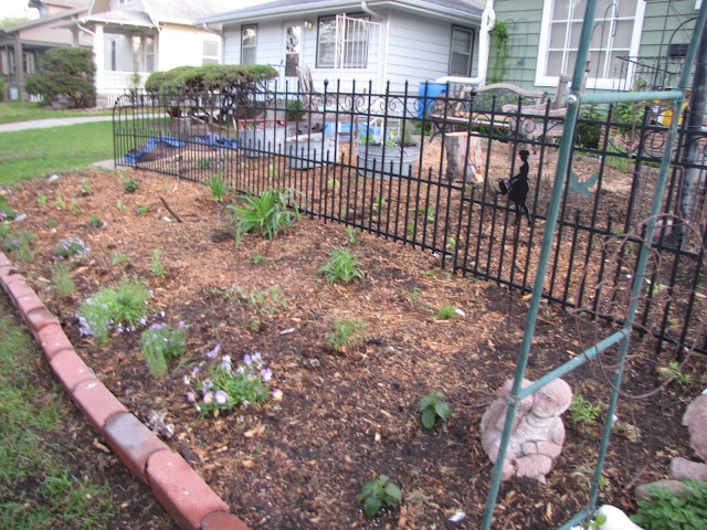 A Corner Garden: Front Yard Update