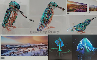 Kingfisher wire birds, scenic pictures and slow mo paint photographs in a collage