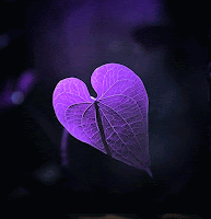 2 Nonverbal Communications Tips for Alzheimer's Caregivers | Alzheimer's Reading Room