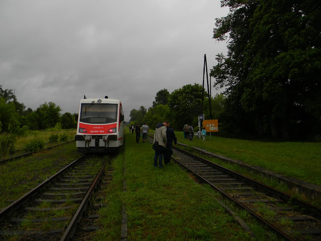 [Obrazek: DSCN5442.JPG]