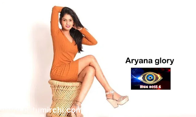 Bigg Boss Telugu Season 4 Contestants List With Photos Natumirchi