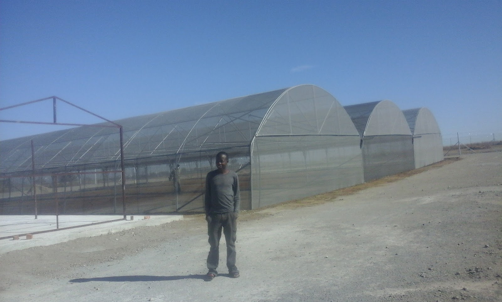 Greenhouse Tunnels South Africa,Mpumalanga,Western Cape,Eastern Cape