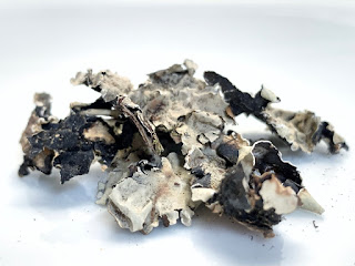 Black Stone Flower Lichen, dagad phool, tree lichen