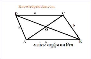 समांतर चतुर्भुज 