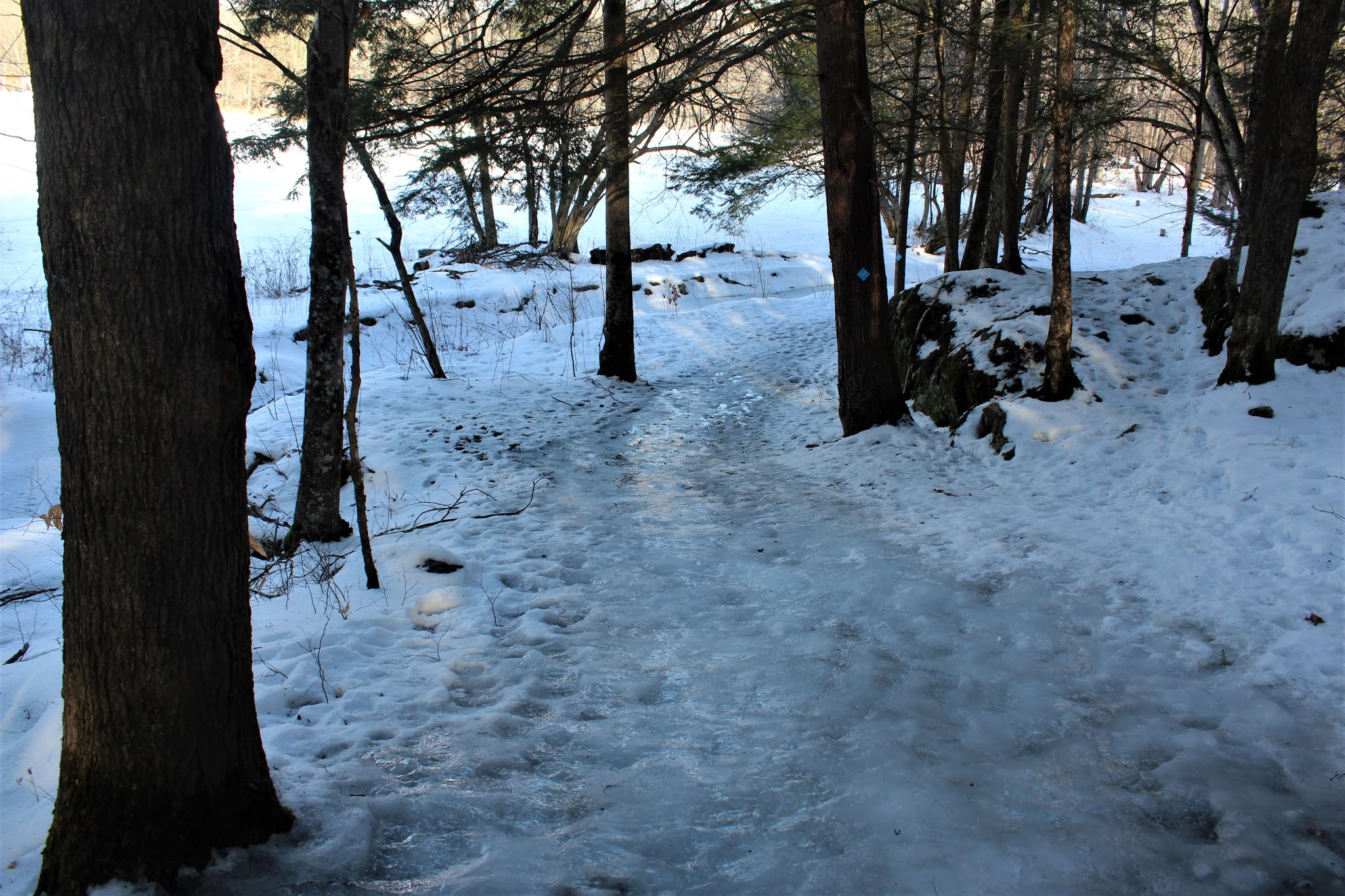 Walking Man 24 7 Kinderhook Creek Preserve(East Nassau, Rensselaer County)